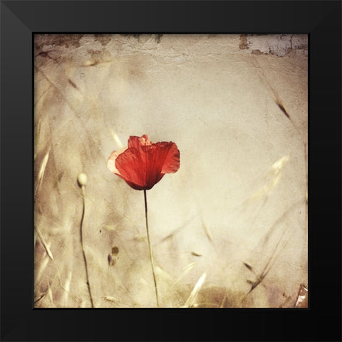 Alone Black Modern Wood Framed Art Print by Ignatova, Desislava