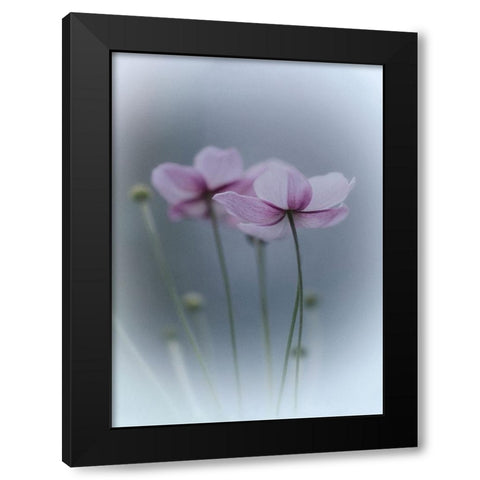 Purple Delight Black Modern Wood Framed Art Print with Double Matting by Bamboo, Purple