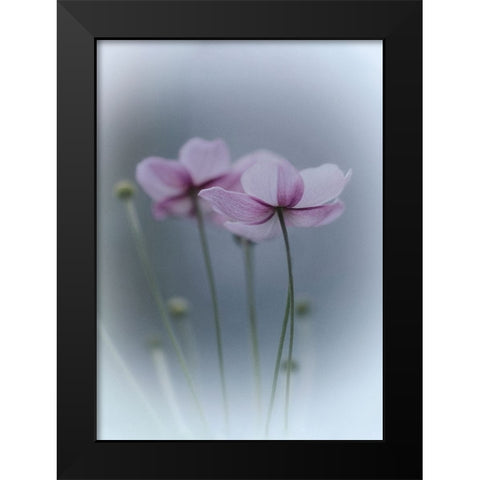 Purple Delight Black Modern Wood Framed Art Print by Bamboo, Purple