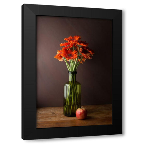 Gerberas Black Modern Wood Framed Art Print with Double Matting by Laercio, Luiz
