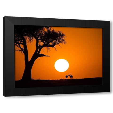 African Sunset Black Modern Wood Framed Art Print by Zhang, Jonathan