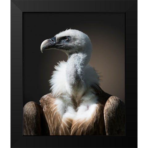The look Black Modern Wood Framed Art Print by van Son, Greetje