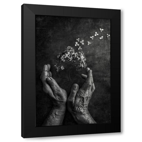 Tempus Fugit Black Modern Wood Framed Art Print with Double Matting by Clough, Stephen