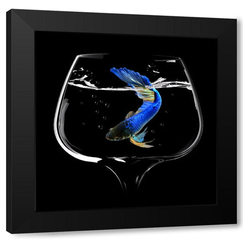 Betta Fish Dance Black Modern Wood Framed Art Print by Bunjamin, Antonyus
