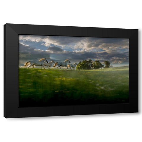 In The Morning Pink Black Modern Wood Framed Art Print with Double Matting by Malovrh, Milan