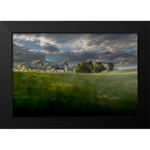 In The Morning Pink Black Modern Wood Framed Art Print by Malovrh, Milan