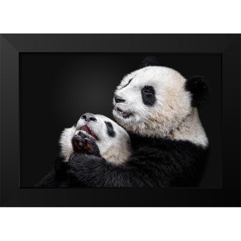 Pandas Black Modern Wood Framed Art Print by Catta, Alessandro