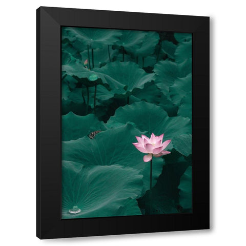 Outstanding Black Modern Wood Framed Art Print by Shutterlore