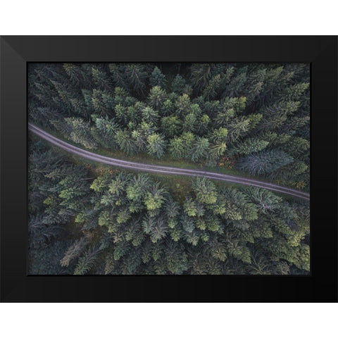Small Road Through The Forest Black Modern Wood Framed Art Print by Lindsten, Christian