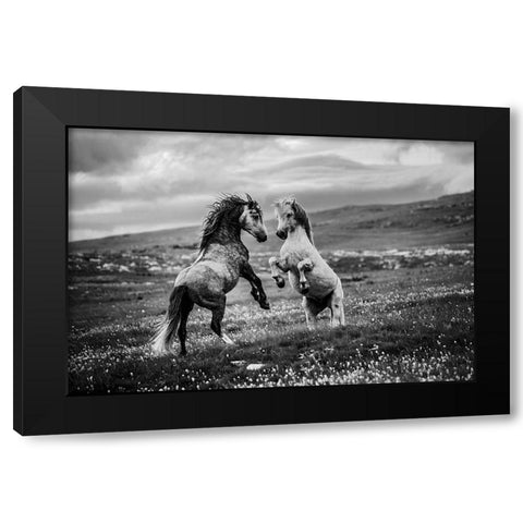 Wild And Free Black Modern Wood Framed Art Print with Double Matting by Vidak, Vedran