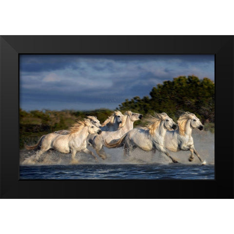 Horses Running Through The Marsh Black Modern Wood Framed Art Print by Ortega, Xavier
