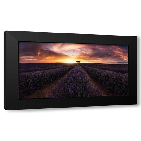 Lavender Sunset Black Modern Wood Framed Art Print by Ruiz Dueso, Jorge