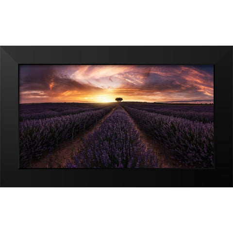 Lavender Sunset Black Modern Wood Framed Art Print by Ruiz Dueso, Jorge