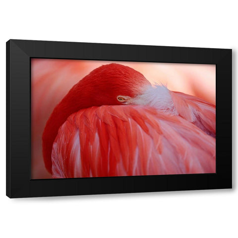 Red Black Modern Wood Framed Art Print by Wenner-Braun, Antje