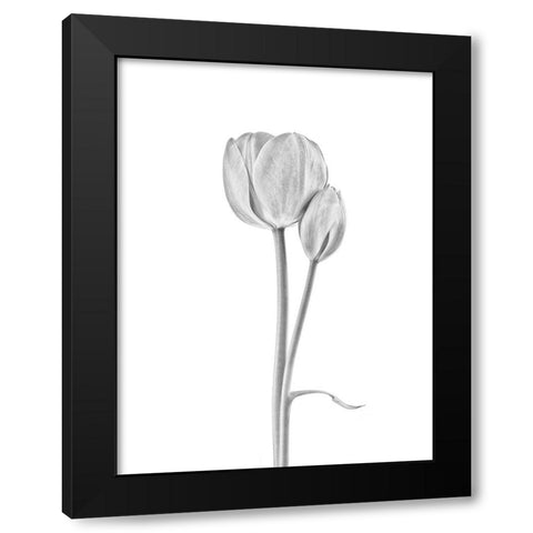 Connected Black Modern Wood Framed Art Print with Double Matting by Gronkjar, Lotte