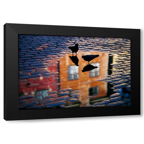 Pigeons Black Modern Wood Framed Art Print with Double Matting by Wallberg, Allan