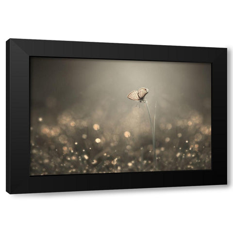 Dream Light Black Modern Wood Framed Art Print with Double Matting by Pamungkas, Edy