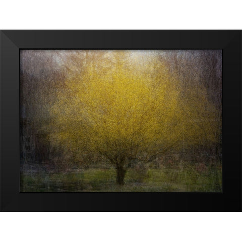 Town Square Black Modern Wood Framed Art Print by Holmstrom, Katarina