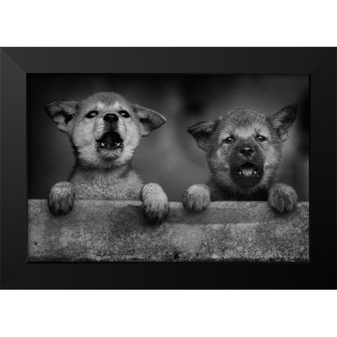 Aa Black Modern Wood Framed Art Print by Mp, Hendy