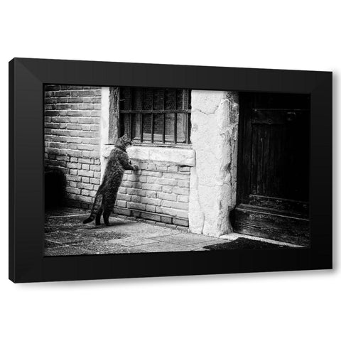 The Cat Black Modern Wood Framed Art Print by Vegh, Izabella