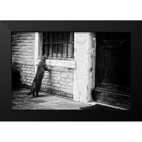 The Cat Black Modern Wood Framed Art Print by Vegh, Izabella