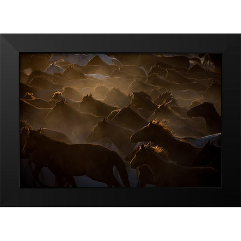 * Black Modern Wood Framed Art Print by Sahin, Ramiz