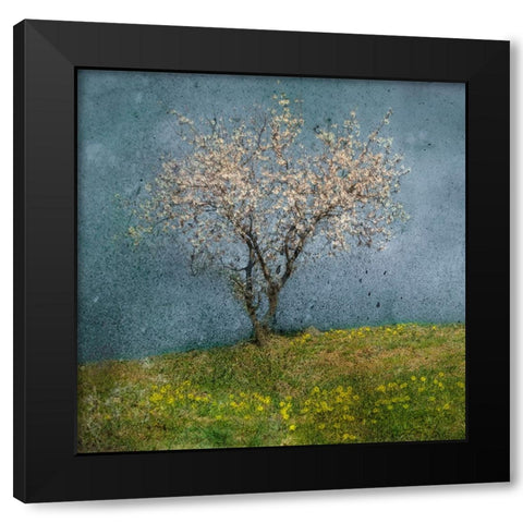 Almond Tree Black Modern Wood Framed Art Print by van Bijnen, Jacqueline
