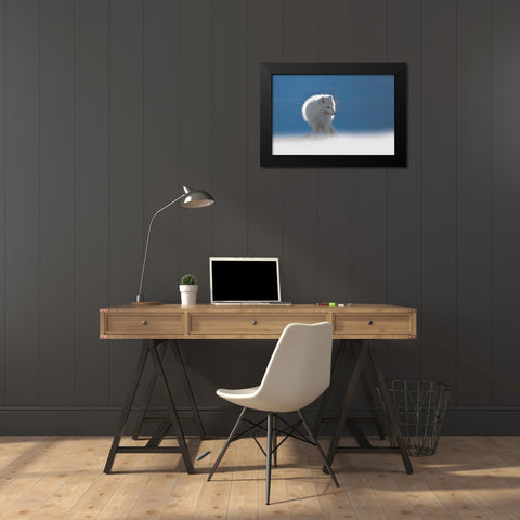 Arctic Fox Black Modern Wood Framed Art Print by Marchegiani, Roberto