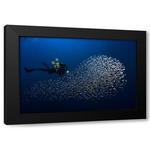 Alvin Shoal Black Modern Wood Framed Art Print with Double Matting by Gabriel, Barathieu