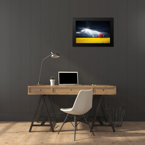 A Red Tree In The Canola Meadow Black Modern Wood Framed Art Print by Hamiti, Bess