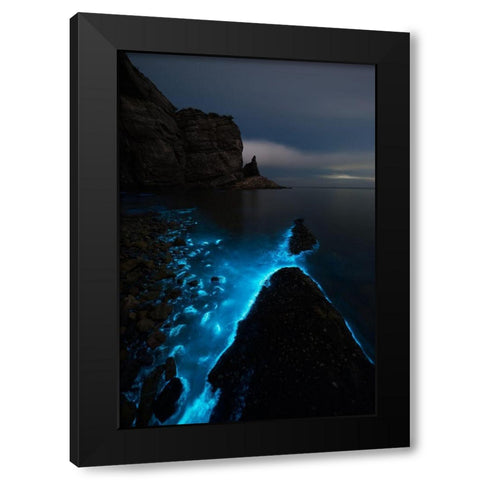Fluorescent Sea Black Modern Wood Framed Art Print with Double Matting by Shanyewuyu