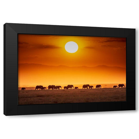 Sunrise Parade Black Modern Wood Framed Art Print by C. Sink, Jeffrey