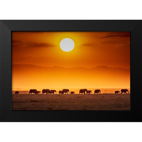 Sunrise Parade Black Modern Wood Framed Art Print by C. Sink, Jeffrey