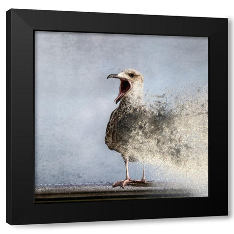 Waterbird Black Modern Wood Framed Art Print with Double Matting by Flour, Bruno