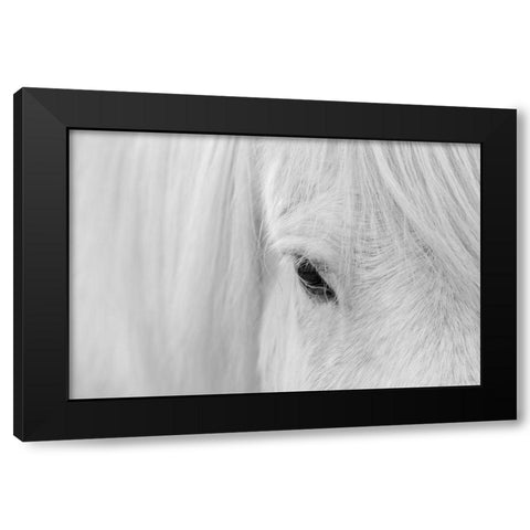 Whisper Of Iceland Black Modern Wood Framed Art Print with Double Matting by Fan, John