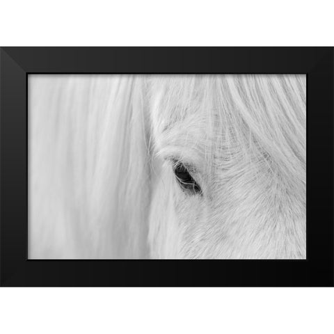 Whisper Of Iceland Black Modern Wood Framed Art Print by Fan, John