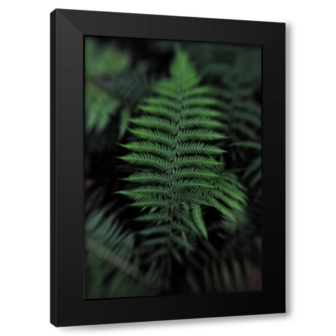 Soft Leaf Black Modern Wood Framed Art Print with Double Matting by Walsh, Claire