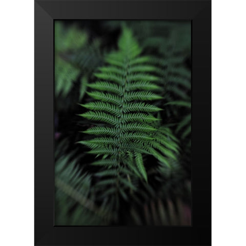 Soft Leaf Black Modern Wood Framed Art Print by Walsh, Claire
