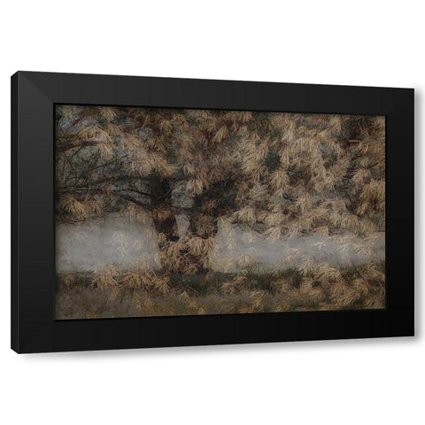 Pine Tree Black Modern Wood Framed Art Print by Talen, Nel