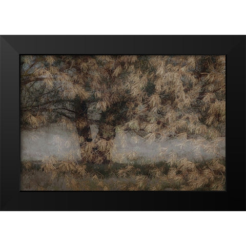 Pine Tree Black Modern Wood Framed Art Print by Talen, Nel