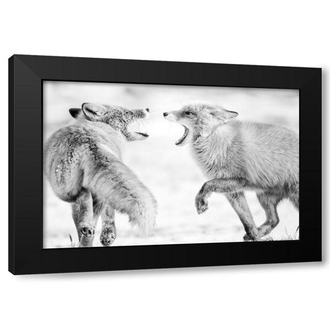 Winter Dream 2 Black Modern Wood Framed Art Print by Itoyama, Eiji