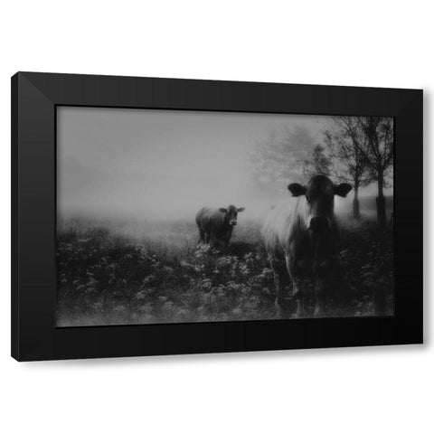 Foggy Memory  Of The Past Black Modern Wood Framed Art Print by Dingemans, Saskia