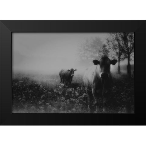 Foggy Memory  Of The Past Black Modern Wood Framed Art Print by Dingemans, Saskia