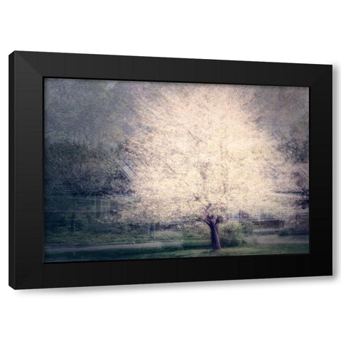 Apple Tree Black Modern Wood Framed Art Print by Holmstrom, Katarina