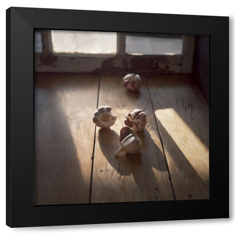 Garlics Black Modern Wood Framed Art Print with Double Matting by Laercio, Luiz