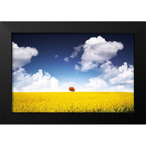 Canola Meadow Black Modern Wood Framed Art Print by Hamiti, Bess