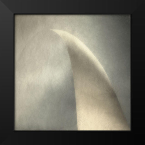 Arco Doro Black Modern Wood Framed Art Print by Claes, Gilbert