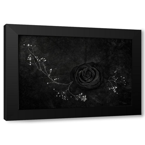 Rose Noire Black Modern Wood Framed Art Print with Double Matting by Clough, Stephen
