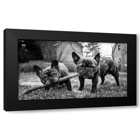 Sharing Is Caring Black Modern Wood Framed Art Print by Holmqvist, Marcus