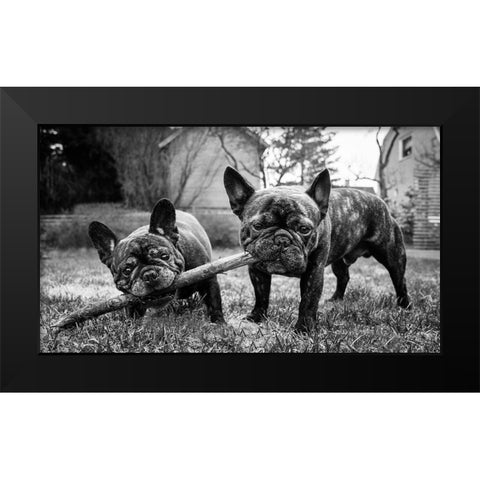 Sharing Is Caring Black Modern Wood Framed Art Print by Holmqvist, Marcus